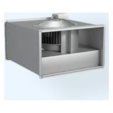 Прямоугольные